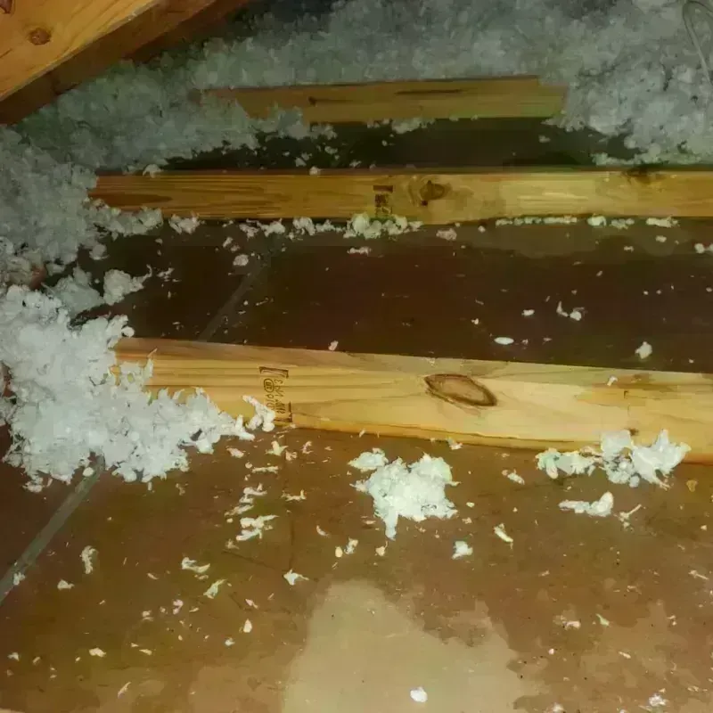 Attic Water Damage in Strawberry, CA